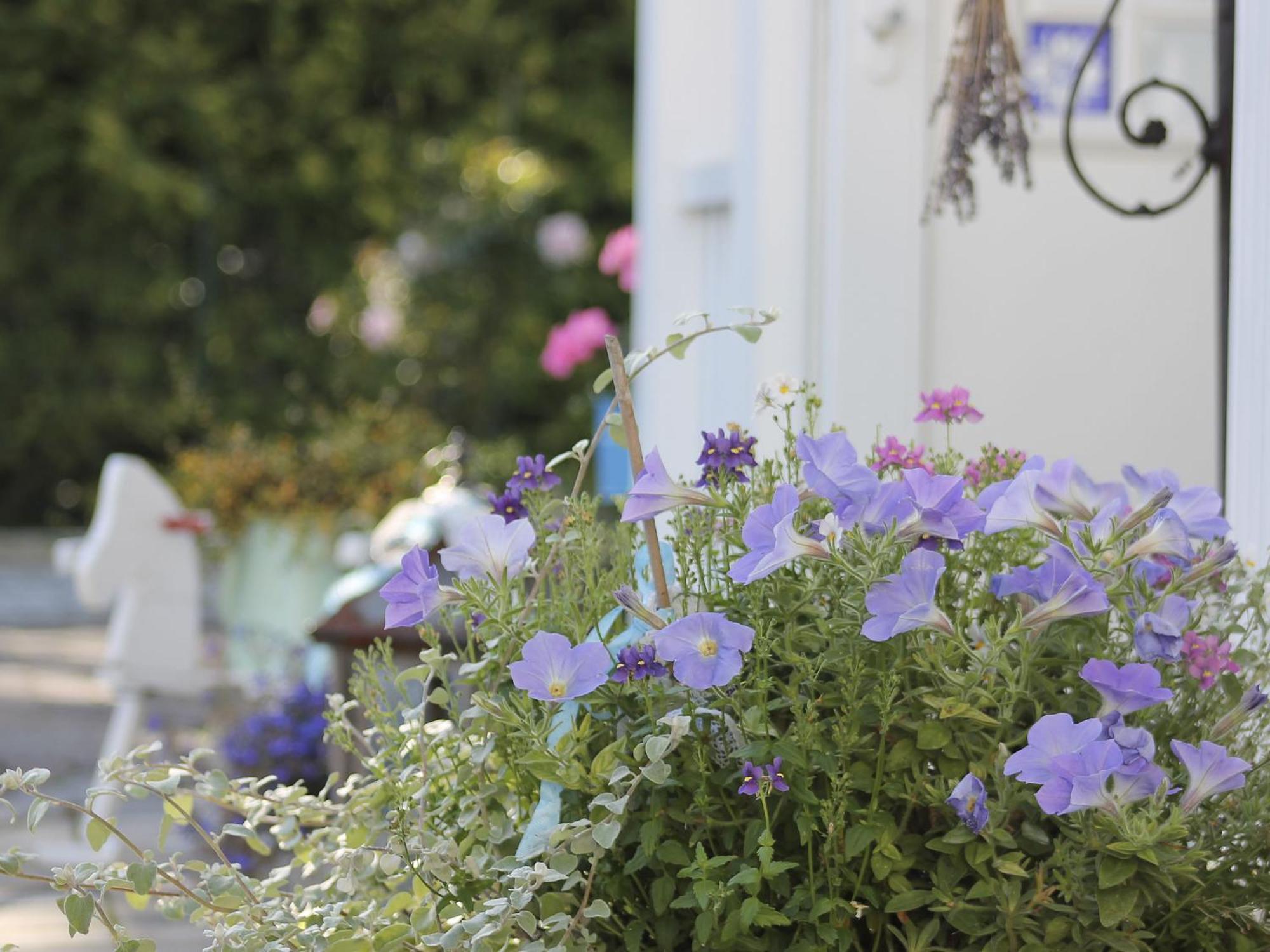 Haus Midsommer Timmendorfer Strand Exterior photo