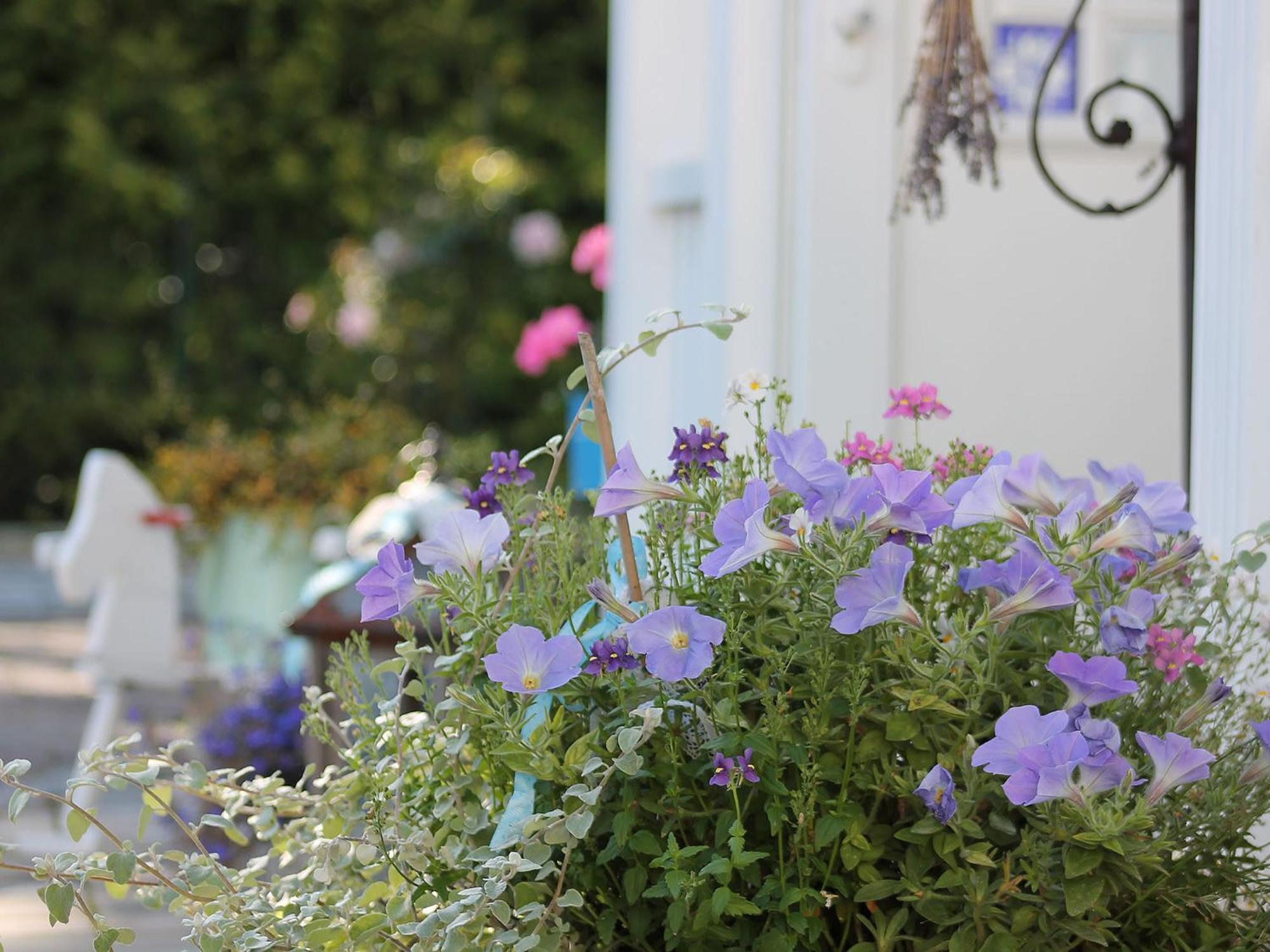 Haus Midsommer Timmendorfer Strand Room photo